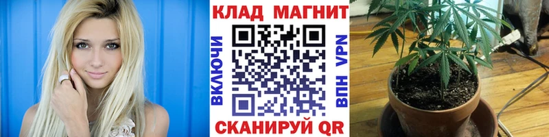 Что такое Новороссийск Марихуана  КОКАИН  Мефедрон 