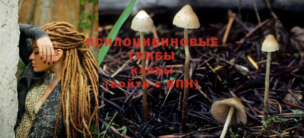 таблы Покровск