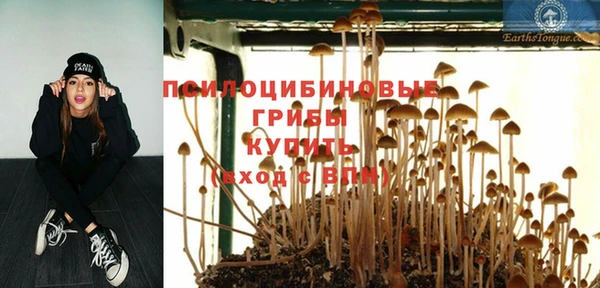 мяу мяу мука Покачи