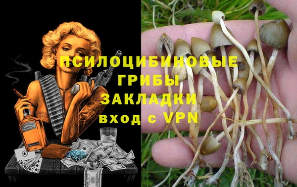 мяу мяу мука Покачи