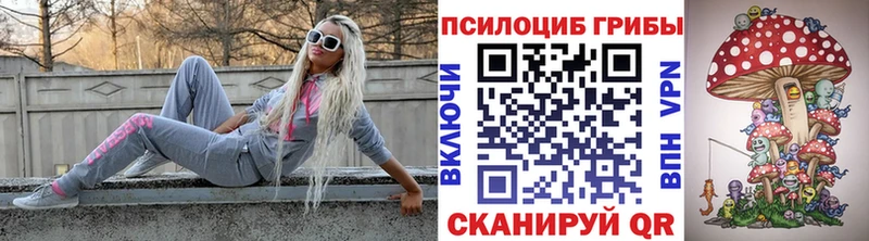 kraken как зайти  Новороссийск  Псилоцибиновые грибы мухоморы 