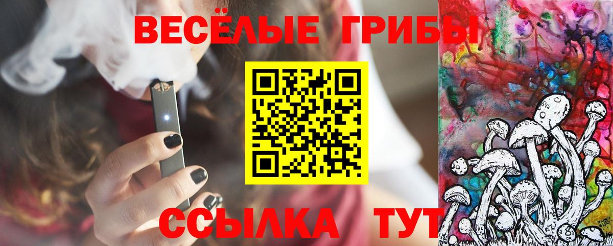 Псилоцибиновые грибы Psilocybine cubensis Новороссийск